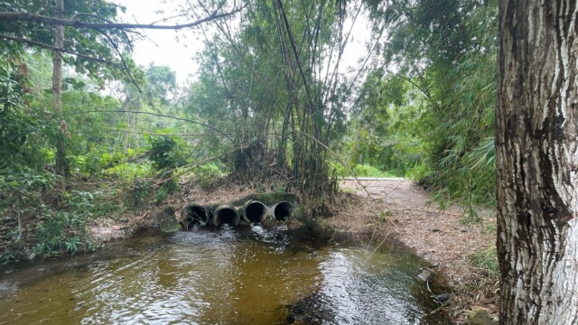 Acervo da iniciativa Saneamento Inclusivo