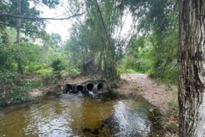 Acervo da iniciativa Saneamento Inclusivo